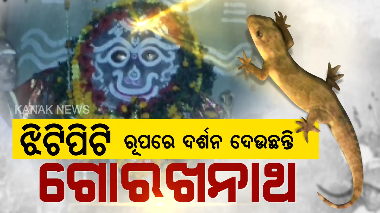  ବିଶ୍ୱାସ ମୂଳେ ଭଗବାନ...ଜଗତସିଂହପୁରରେ ଦେଖିବାକୁ ମିଳେ ଇଶ୍ୱରଙ୍କ ଅଲୌକିକ ଦୃଶ୍ୟ...ଧଳା ଝିଟିପିଟି ରୂପରେ ଦର୍ଶନ ଦିଅନ୍ତି ବାବା ଗୋରଖନାଥ...ସତ ସତ ସତ ଶଦ୍ଦରେ ରୋଗୀ ହେଉଛନ୍ତି ଅରୋଗ୍ୟ