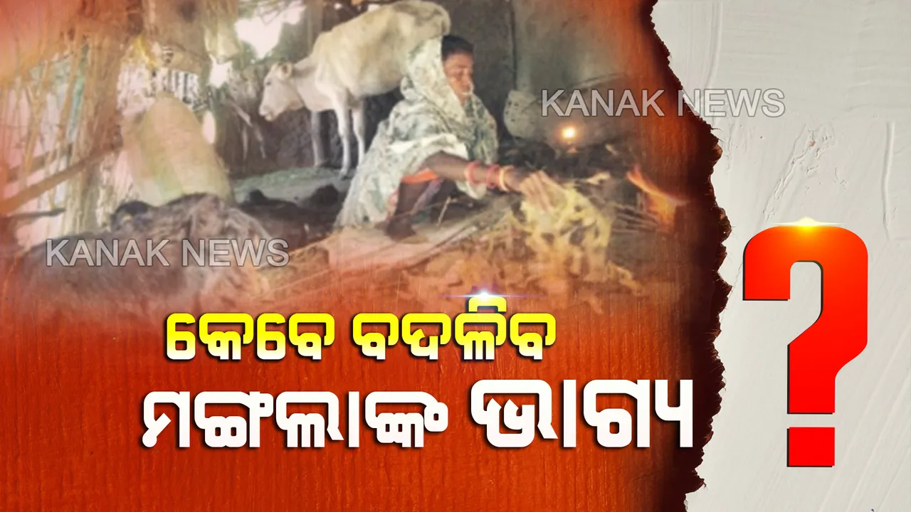  ଆବାସ ନାଁରେ ଉପହାସ...ଘର ନାହିଁ କି ରାସନ ନାହିଁ, ଗୁହାଳ ପାଲଟିଛି ହାଣ୍ଡିଶାଳ ତଥାପି ପଡୁନି ପ୍ରଶାସନର ନଜର...କେବେ ବଦଳିବ ମଙ୍ଗଲାଙ୍କ ଭାଗ୍ୟ?