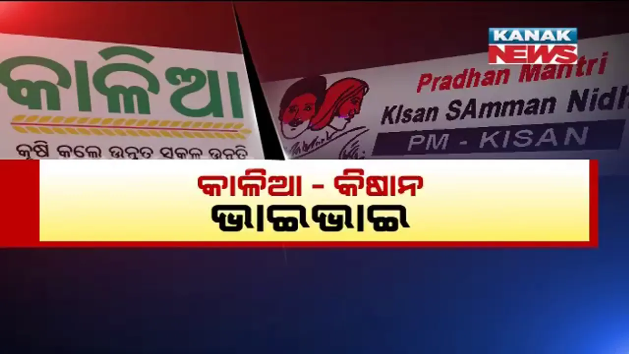  ହାତ ଧରାଧରି ହୋଇ ଚାଲିବେ କାଳିଆ-କିଷାନ୍ । ଦୁଇ ଯୋଜନା ମିଶ୍ରଣ ନେଇ ବିଜ୍ଞପ୍ତି ପ୍ରକାଶ, କାଳିଆ ଯୋଜନା ଗାଇଡଲାଇନରେ ପରିବର୍ତ୍ତନ ।