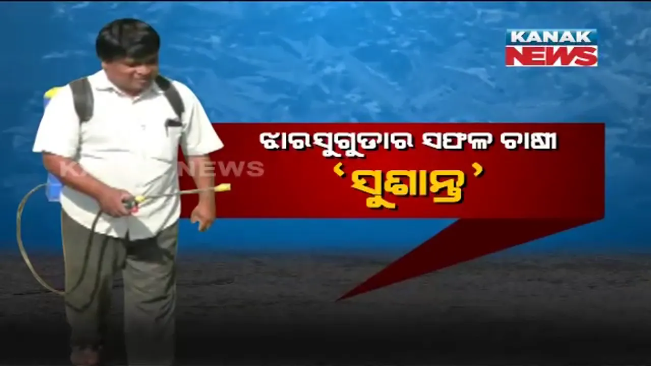  ସଫଳ ଚାଷୀ ସୁଶାନ୍ତ : ଅର୍ଥଶାସ୍ତ୍ରରେ ସ୍ନାତକୋତ୍ତର କରିବା ପରେ ଚାକିରି ପଛରେ ନଧାଇଁ କରୁଛନ୍ତି ଚାଷ,ନିଜ ସହ ୧୦ ଜଣଙ୍କୁ କରିଛନ୍ତି ସ୍ୱାବଲମ୍ବୀ