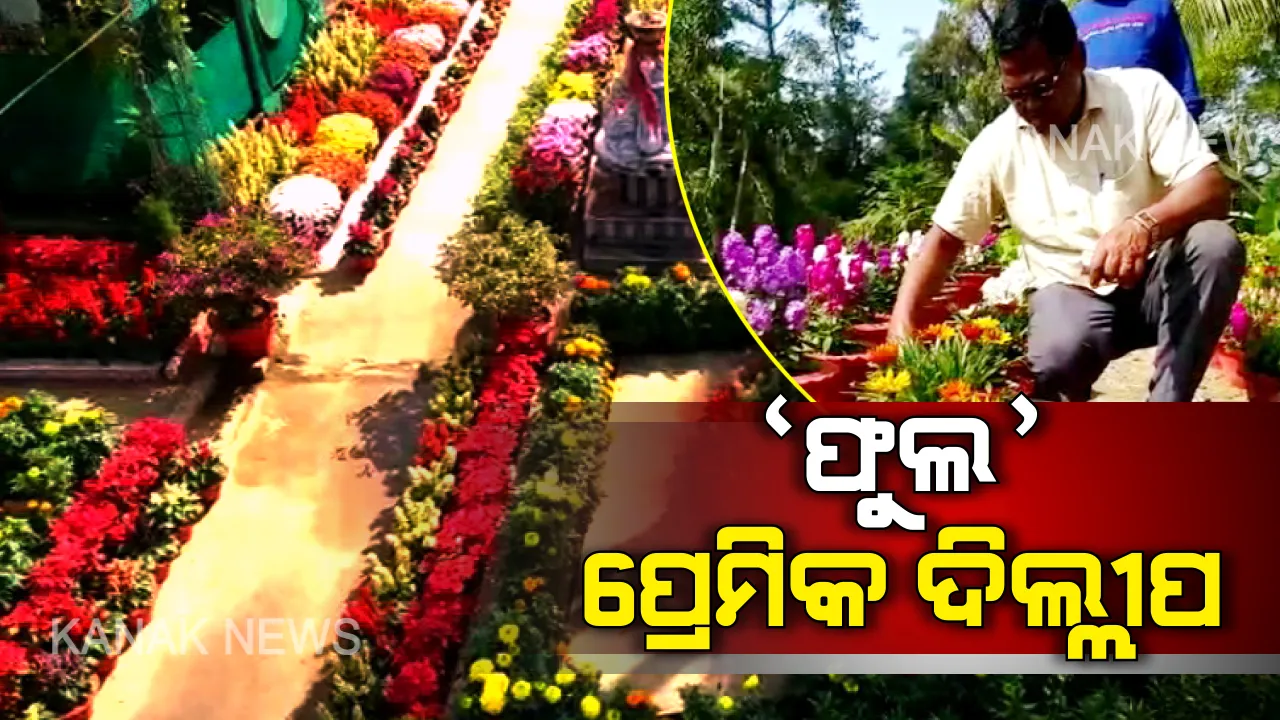  ‘ଫୁଲ’ ପ୍ରେମିକ ଦିଲ୍ଲୀପ: ଓହଃ କି ସୁନ୍ଦର ! କେତେ ରଙ୍ଗ, କେତେ ରୂପ । ଅଗଣା ଦେଖିଲେ ଆଖି ଲାଖିଯିବ...