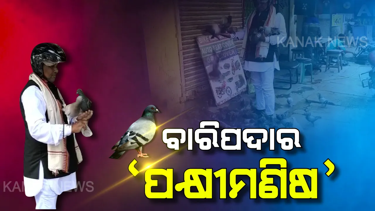  ଆ... କହିଲେ ପକ୍ଷୀ ଆସୁଛନ୍ତି, ହାତରେ ବସି ଦାନା ଖାଉଛନ୍ତି... ବାରିପଦାରୁ ଆସିଲା ପକ୍ଷୀ-ମଣିଷଙ୍କ ମନଲୋଭା ଚିତ୍ର
