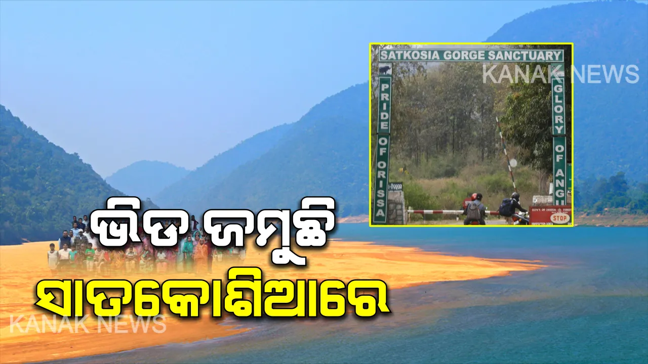  ପର୍ଯ୍ୟଟନ ଋତୁରେ ସାତକୋଶିଆରେ ପର୍ଯ୍ୟଟକଙ୍କ ଖଚାଖଚ ଭିଡ । ସାତକୋଶିଆ ଗଣ୍ଡ ଓ ନେଚର କ୍ୟାମ୍ପ ଦେଖି ବିମୋହିତ ହେଉଛନ୍ତି ଦର୍ଶକ