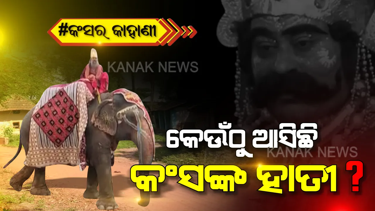  କଂସ ଡାକରେ ଓଡିଶା ବାହାରୁ ଆସେ ହାତୀ:  ମଥୁରା ନରେଶଙ୍କୁ ପିଠିରେ ବୁଲାଇବା ପାଇଁ ଦୁଇ ମାସ ଧରି ଚାଲିଚାଲି ଆସେ ‘ବିଜୟ’