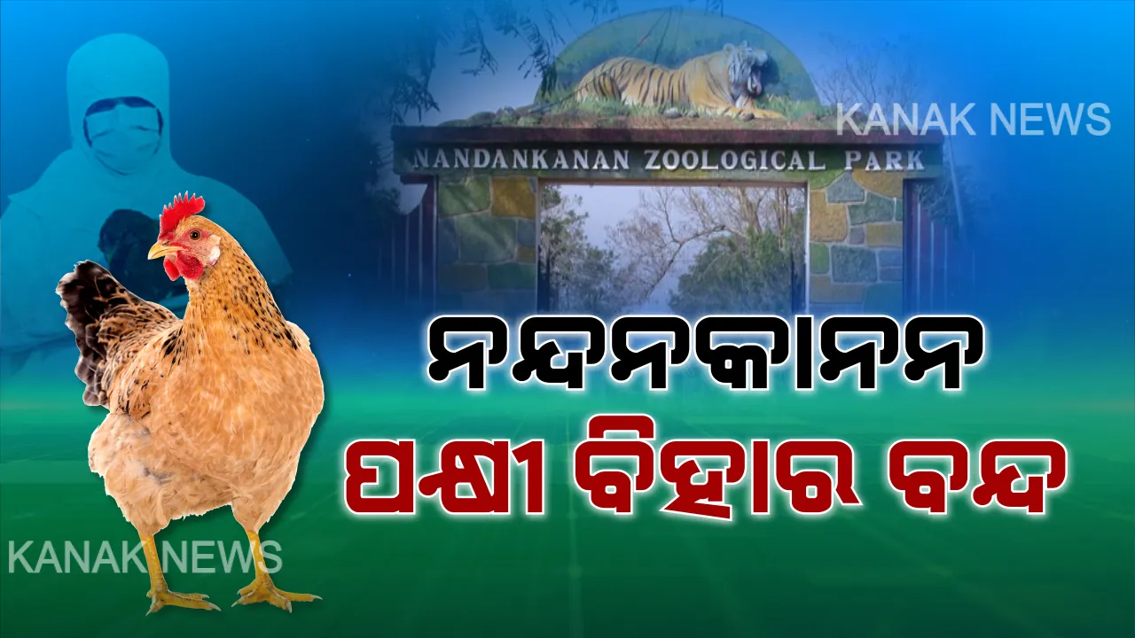  ଭୁବନେଶ୍ୱରରେ ବାର୍ଡ ଫ୍ଲୁ ଆତଙ୍କ ! ସୁରକ୍ଷା ଦୃଷ୍ଟିରୁ ବନ୍ଦ ହେଲା ନନ୍ଦନକାନନ ପକ୍ଷୀ ବିହାର । ଆସନ୍ତାକାଲି ଠାରୁ ଅନିର୍ଦ୍ଦିଷ୍ଟ କାଳ ଯାଏଁ ବନ୍ଦ ପାଇଁ ନିର୍ଦ୍ଦେଶ