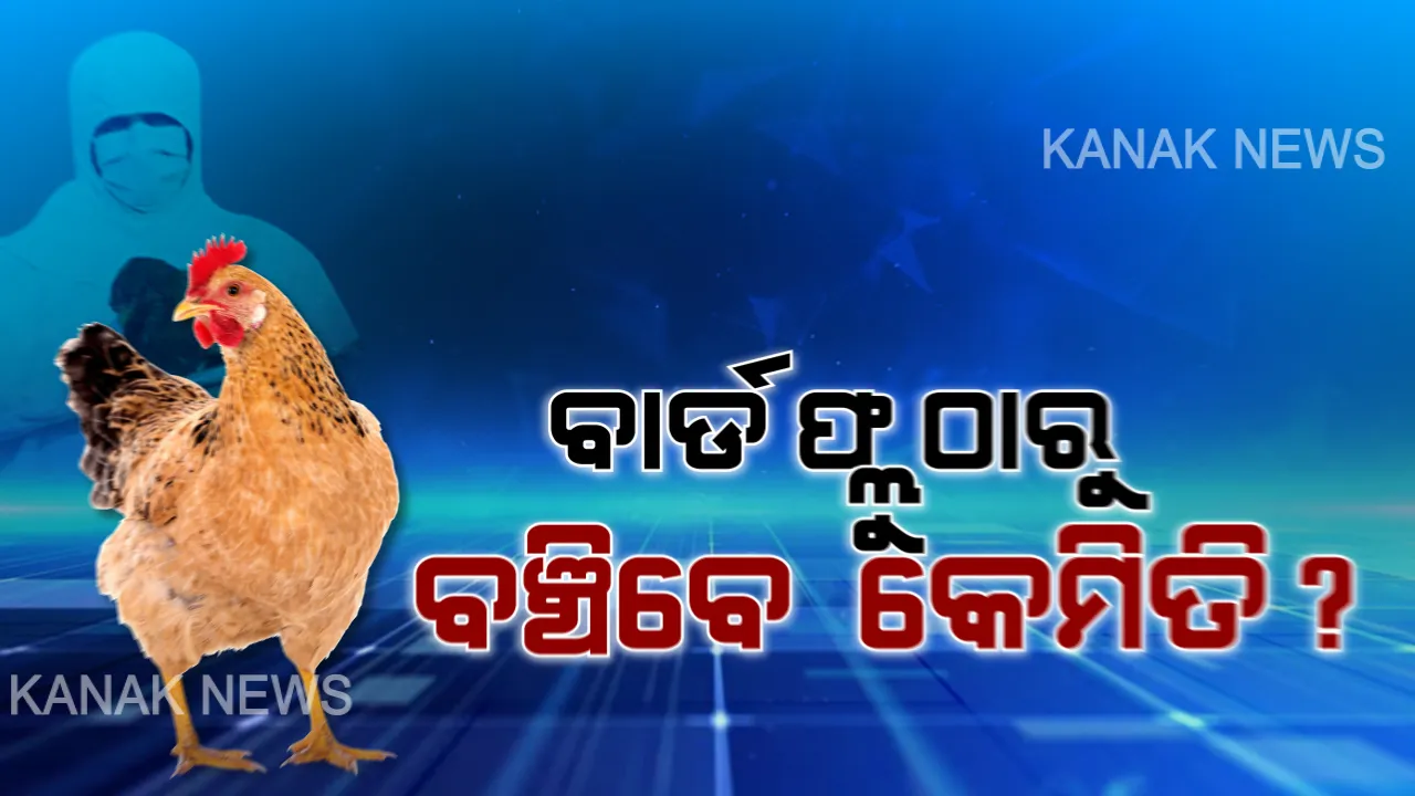  ବାର୍ଡ ଫ୍ଲୁର ଲକ୍ଷଣ କଣ ? କିଭଳି ଏହି ଭାଇରସ ଠାରୁ ନିଜକୁ ରକ୍ଷା କରିପାରିବେ?