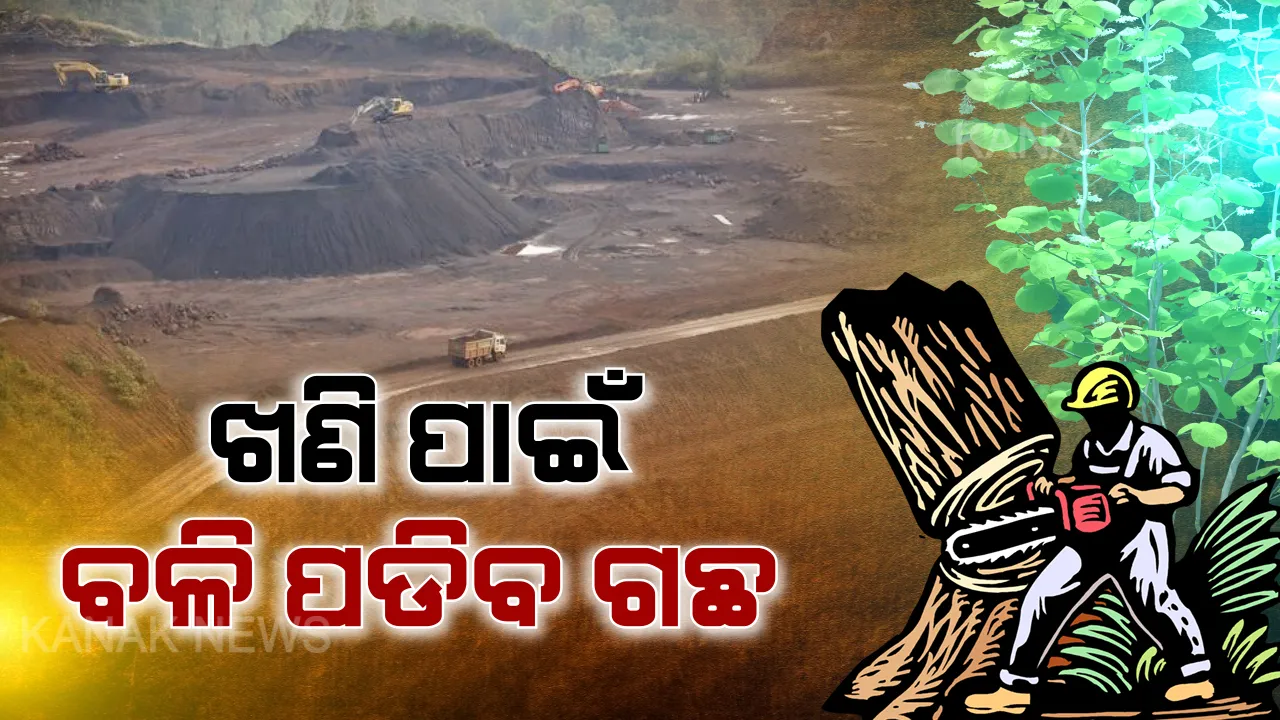  ଖଣି ପାଇଁ ବଳି ପଡିବ ଗଛ ! ଯୋଡା ଓ ସୁନ୍ଦରଗଡରେ ନଷ୍ଟ ହେବ ୯ ଶହ ହେକ୍ଟର ଜଙ୍ଗଲ,କଟାହେବ ୯ ଲକ୍ଷ ଗଛ