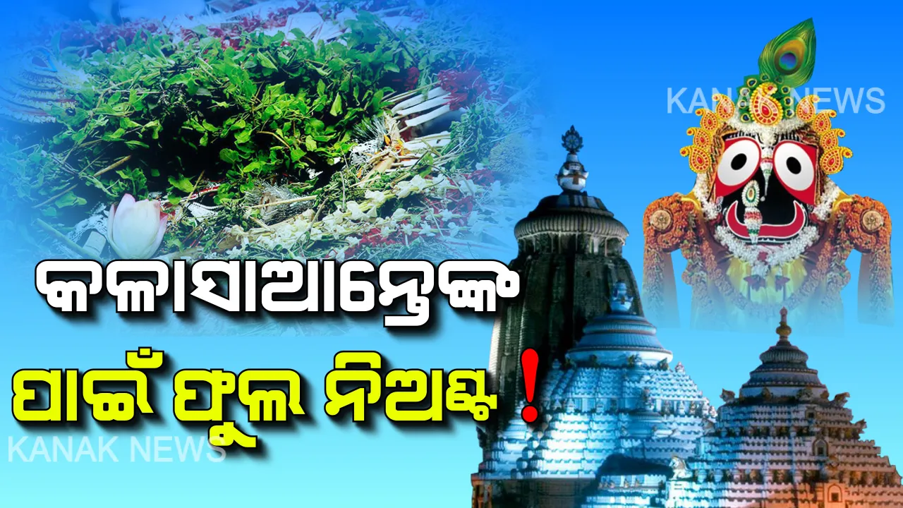  ଫୁଲ ରସିଆଙ୍କୁ ଫୁଲ ଅଭାବ ! ସୁନ୍ଦର ହେଉଛି ବଡଦାଣ୍ଡ, ହେଲେ ବଡ଼ଠାକୁରଙ୍କ ପାଇଁ ଅଭାବ ହେଉଛି ଫୁଲ । ନୀତିକାନ୍ତି ଓ ବେଶ ପାଇଁ ଫୁଲ କମ ପଡୁଥିବାରୁ ସେବାୟତଙ୍କ ଅସନ୍ତୋଷ
