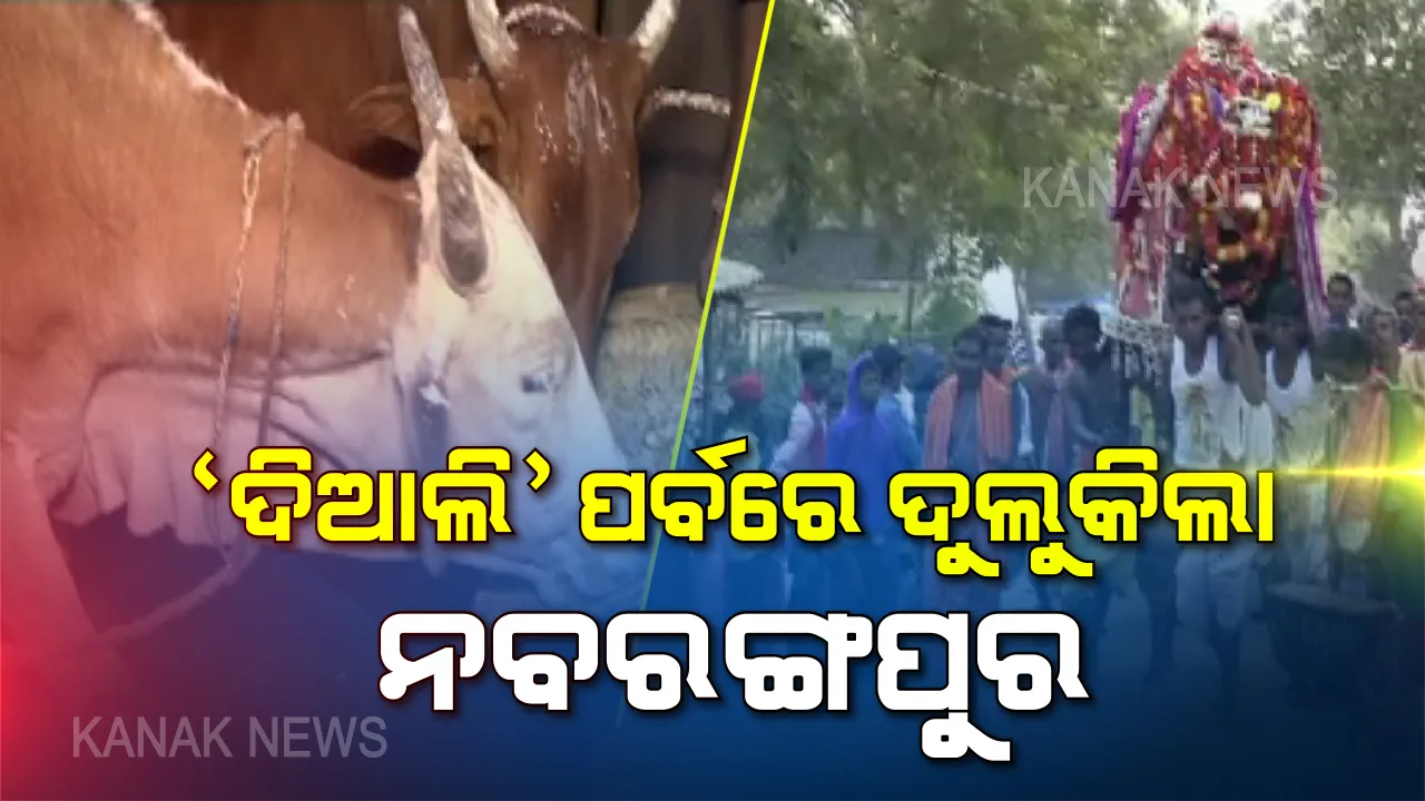  ଆଦିବାସୀଙ୍କ ଅନନ୍ୟ ପର୍ବ । ବର୍ଷକର ଅମଳରେ ଚଷାପୁଅର ସାଥୀ ହୋଇଥିବା ଗୋ-ମାତାକୁ ପୂଜା କରନ୍ତି, ପାରମ୍ପାରିକ ନାଚଗୀତ ସାଙ୍ଗକୁ ନୈବେଦ୍ୟ ପ୍ରସ୍ତୁତ କରି ‘ଦିଆଲି’ ପର୍ବ ପାଳନ୍ତି ।