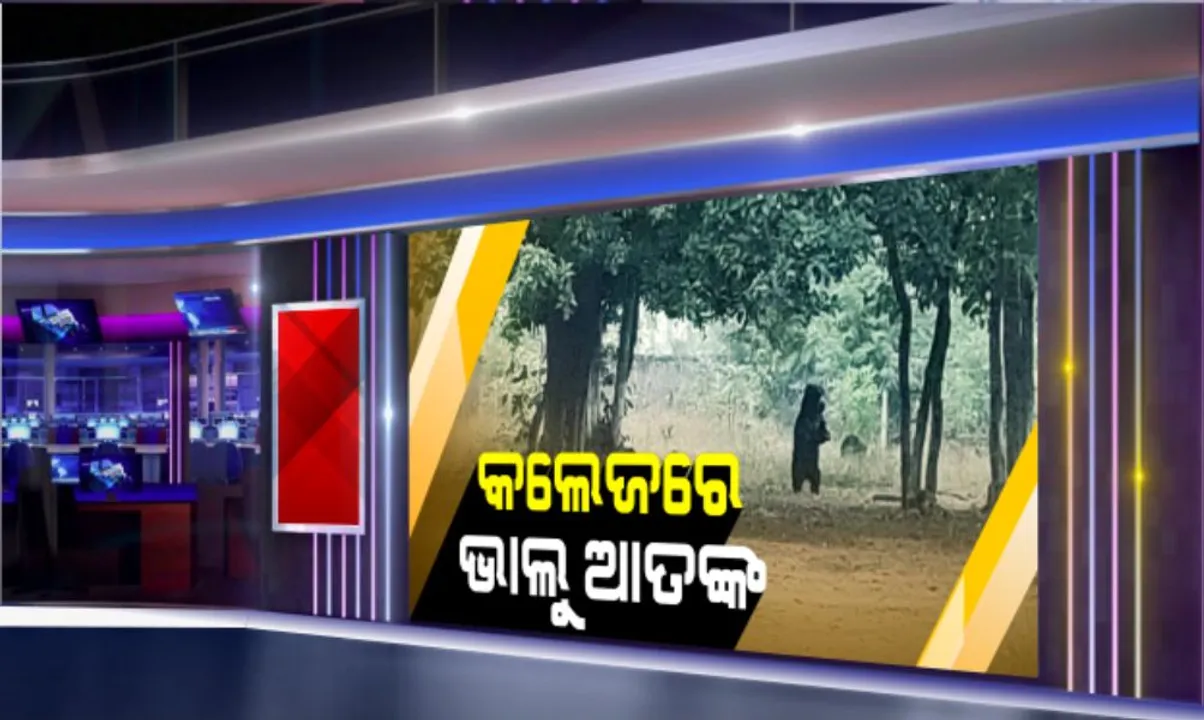  କଲେଜ ଭିତରେ ପଶିଲା ଭାଲୁ । ଭାଲୁ ଭୟରେ କଲେଜ ଯାଉନାହାନ୍ତି ଛାତ୍ରଛାତ୍ରୀ