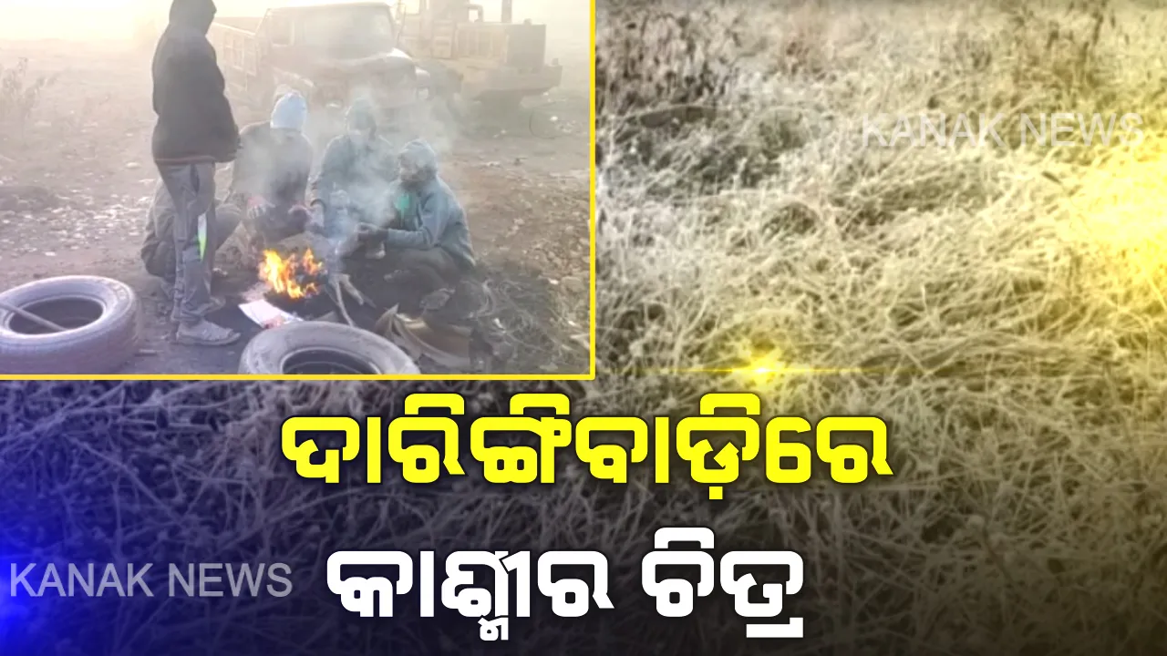  ଅସହ୍ୟ ଜାଡରେ ଥରୁଛି ଓଡିଶା, ଜନଜୀବନ ଅସ୍ତବ୍ୟସ୍ତ । କନ୍ଧମାଳରେ ପ୍ରବଳ ଥଣ୍ଡା ଅନୁଭୂତ । ଗଜପତିରେ କୁହୁଡି, ଦାରିଙ୍ଗିବାଡିର ସିମନବାଡିରେ ତୁଷାର ପାତ