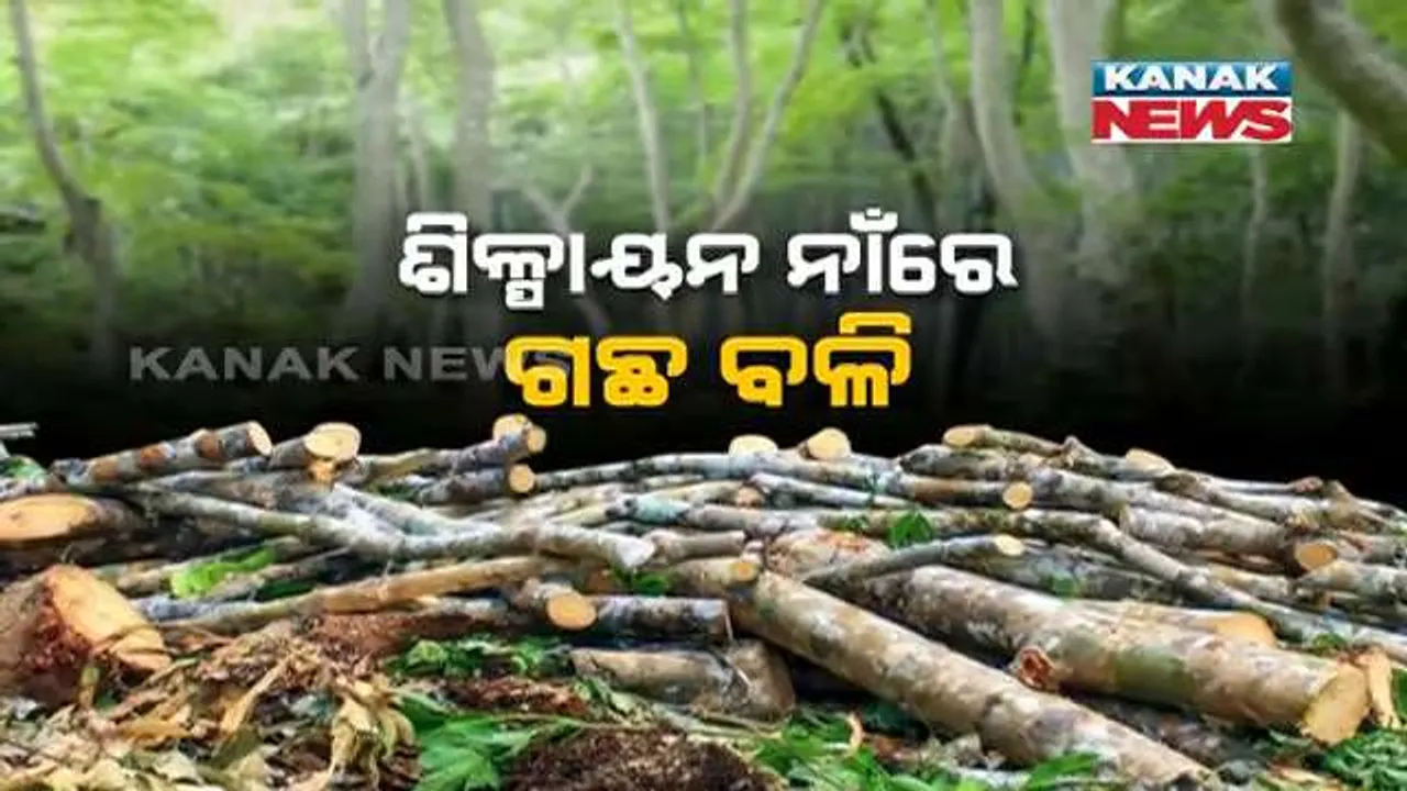  ଖଣି ପାଇଁ ଗଛ କଟା : କେନ୍ଦୁଝର ଜିଲ୍ଲାରେ ଖଣି ପାଇଁ ବଳି ପଡ଼ିବ ୯ ଲକ୍ଷ ଶାଳଗଛ