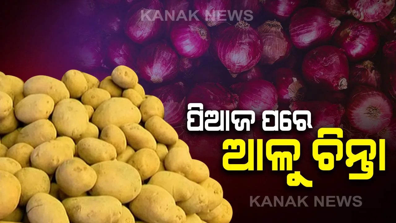 ପିଆଜ ପରେ ଖାଉଟିଙ୍କୁ କନ୍ଦାଉଛି ଆଳୁ । ୩୦ ତଳକୁ ଖସୁନି ଦର