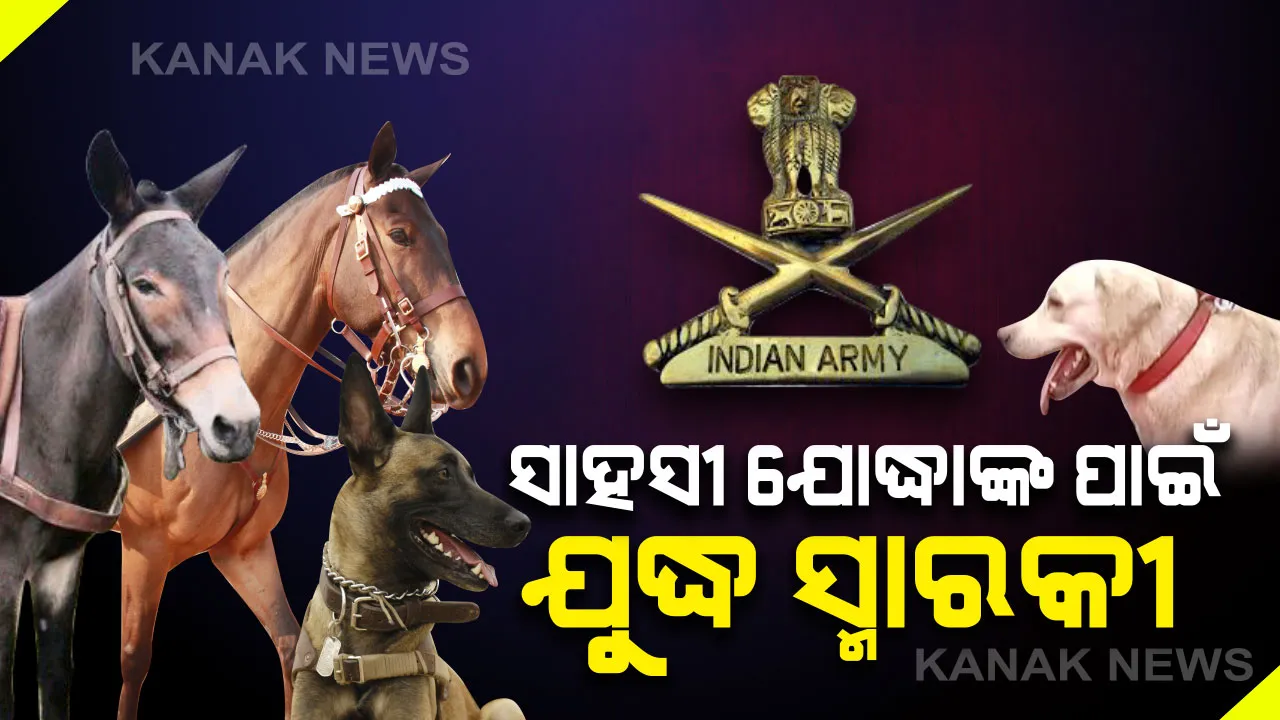  ଦେଶ ପାଇଁ ବଳିଦାନ ଦେଇଥିବା ପ୍ରାଣୀମାନଙ୍କ ପାଇଁ ଯୁଦ୍ଧ ସ୍ମାରକୀ । ମିରଟରେ ହେବ ଭାରତର ପ୍ରଥମ ଯୁଦ୍ଧ ସ୍ମାରକୀ, ସହିଦ ସୈନ୍ୟଙ୍କ ଭଳି ମିଳିବ ସମ୍ମାନ ।