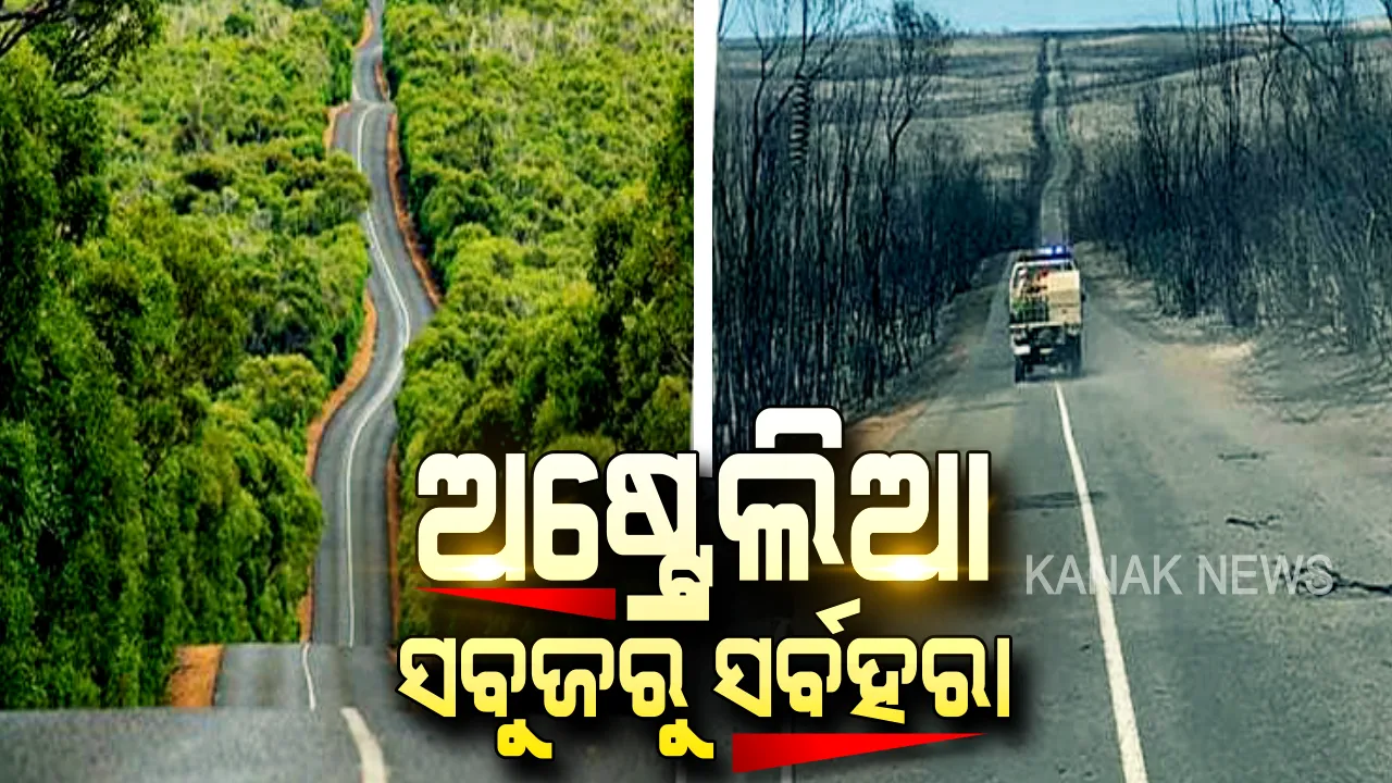 ଅଷ୍ଟ୍ରେଲିଆର ଆର୍ତ୍ତ ଚିତ୍କାର, ପ୍ରକୃତି ପିଠିରେ ପୂଳା ପୂଳା ପାଉଁଶ । ଆତଙ୍କ ଖେଳାଇ ଅଗ୍ନି ଆସିଲା, ସବୁଜ ରାଣୀର ସର୍ବଶ୍ୱ ଲୁଟିନେଲା । ନିଆଁର ଏମିତି ତାଣ୍ଡବ ଚିତ୍ର, ଆପଣଙ୍କୁ ସ୍ତବ୍ଧ କରିଦେବ ।