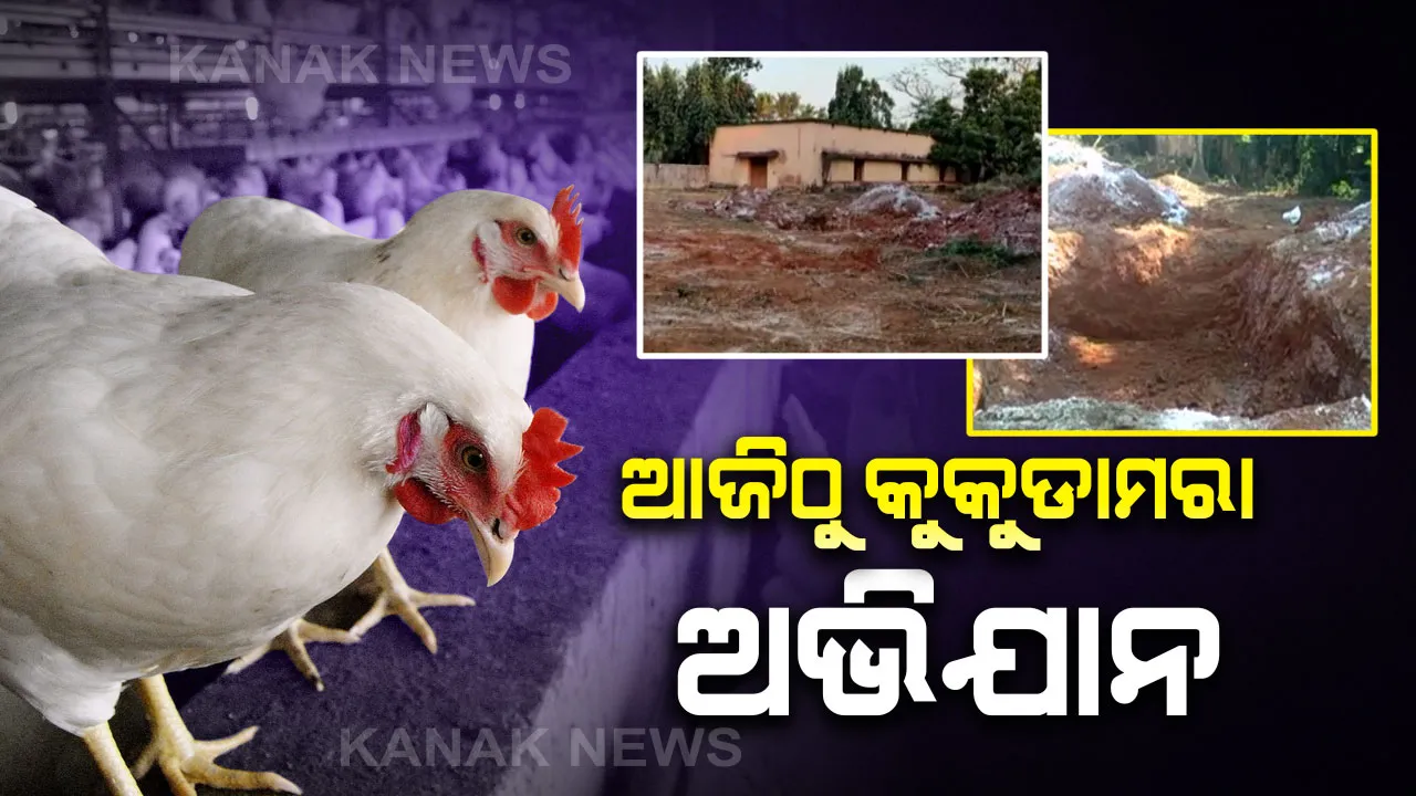  ଭୁବନେଶ୍ୱରରେ ବାର୍ଡ ଫ୍ଲୁ ପାଇଁ ଆଜିଠୁ କୁକୁଡାମରା ଅଭିଯାନ ଆରମ୍ଭ : ଓୟୁଏଟିରେ ୧ କି.ମି. ପରିସରରେ ମରାଯିବ କୁକୁଡା,ପର୍ଯ୍ୟଟକଙ୍କ ପାଇଁ ବନ୍ଦ ରହିବ ନନ୍ଦନକାନନ ପକ୍ଷୀବିହାର