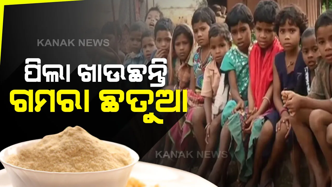  କୁନି କୁନି ପିଲା ଖାଉଛନ୍ତି ଗମରା ଛତୁଆ : ମାଲକାନଗିରିର ଅଧିକାଂଶ ଅଙ୍ଗନବାଡ଼ିରେ ପିଲାଙ୍କୁ ଦିଆଯାଉଛି ନିମ୍ନମାନର ଛତୁଆ, ରାଜ୍ୟ ପରୀକ୍ଷାଗାରରୁ ମିଳିଲା ସାଂଘାତିକ ରିପୋର୍ଟ