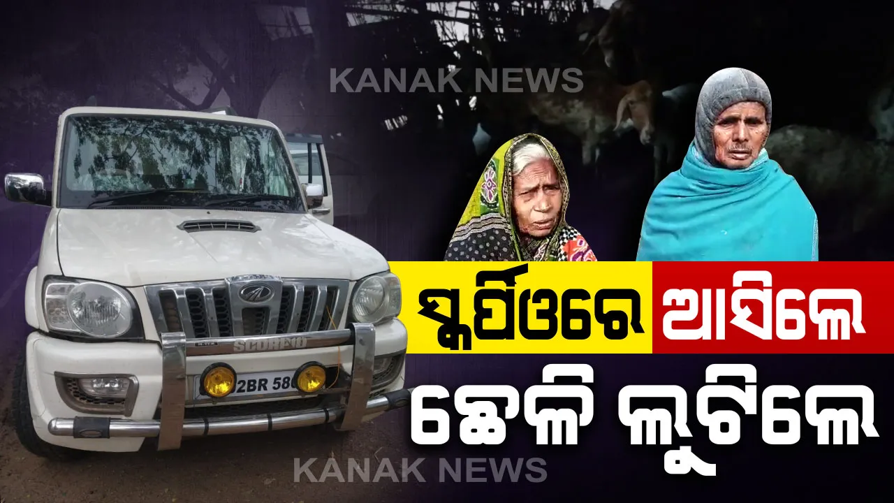  ଭଞ୍ଜନଗରରେ ମାତିଲେ ଛେଳିଚୋର : ଦାମୀ ଗାଡିରେ ଆସି ବନ୍ଧୁକ ଦେଖାଇ ଚୋରି କଲେ ୬୦ରୁ ଅଧିକ ଛେଳି 
