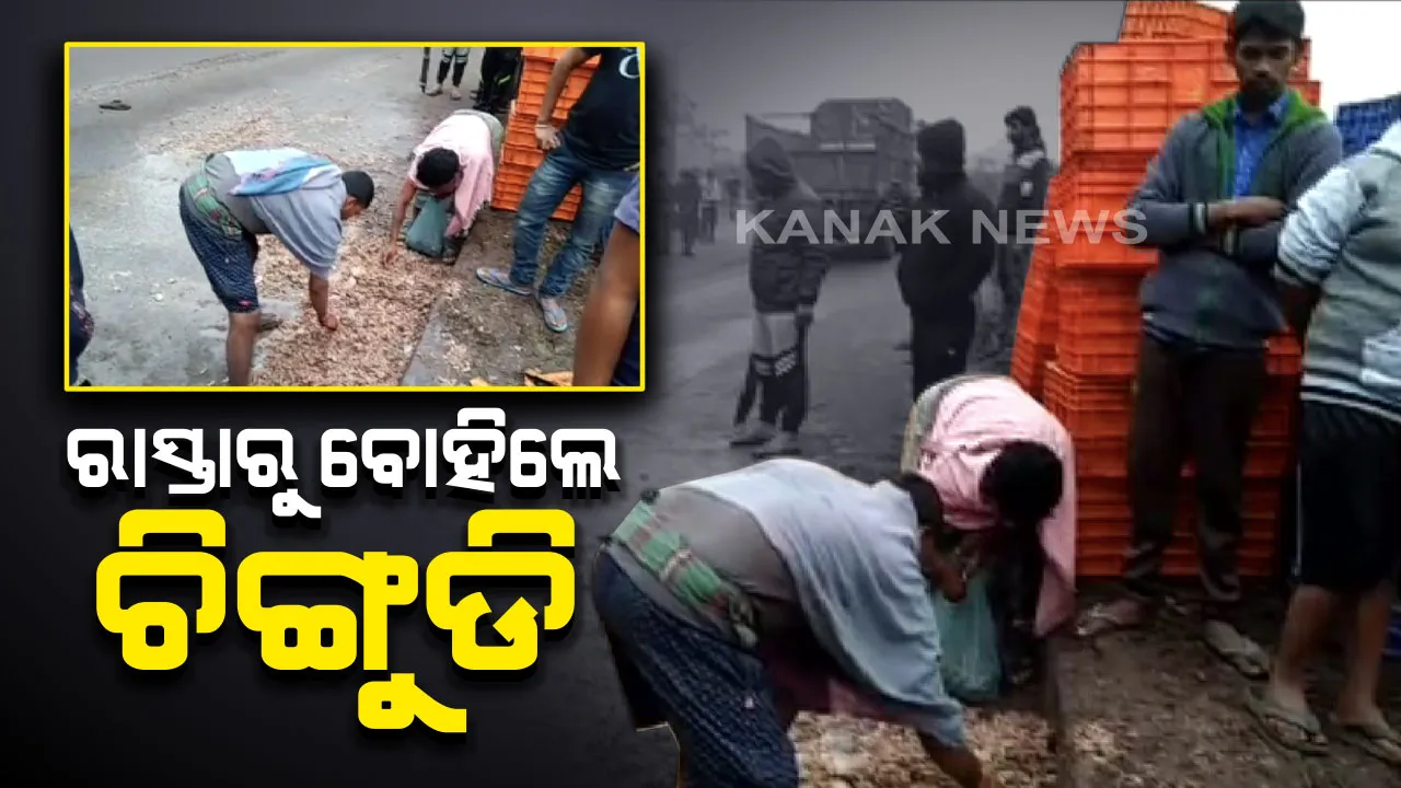  ପାଟକୁରାରେ ଓଲଟିଲା ଚିଙ୍ଗୁଡି ବୋଝେଇ ଗାଡି । ଟ୍ରକ୍ ସହ ଧକ୍କା ପରେ ରାସ୍ତାରେ ବିଛାଡି ହୋଇ ପଡିଲା ଚିଙ୍ଗୁଡି ମାଛ । ବୋହିନେଲେ ସ୍ଥାନୀୟ ଲୋକ