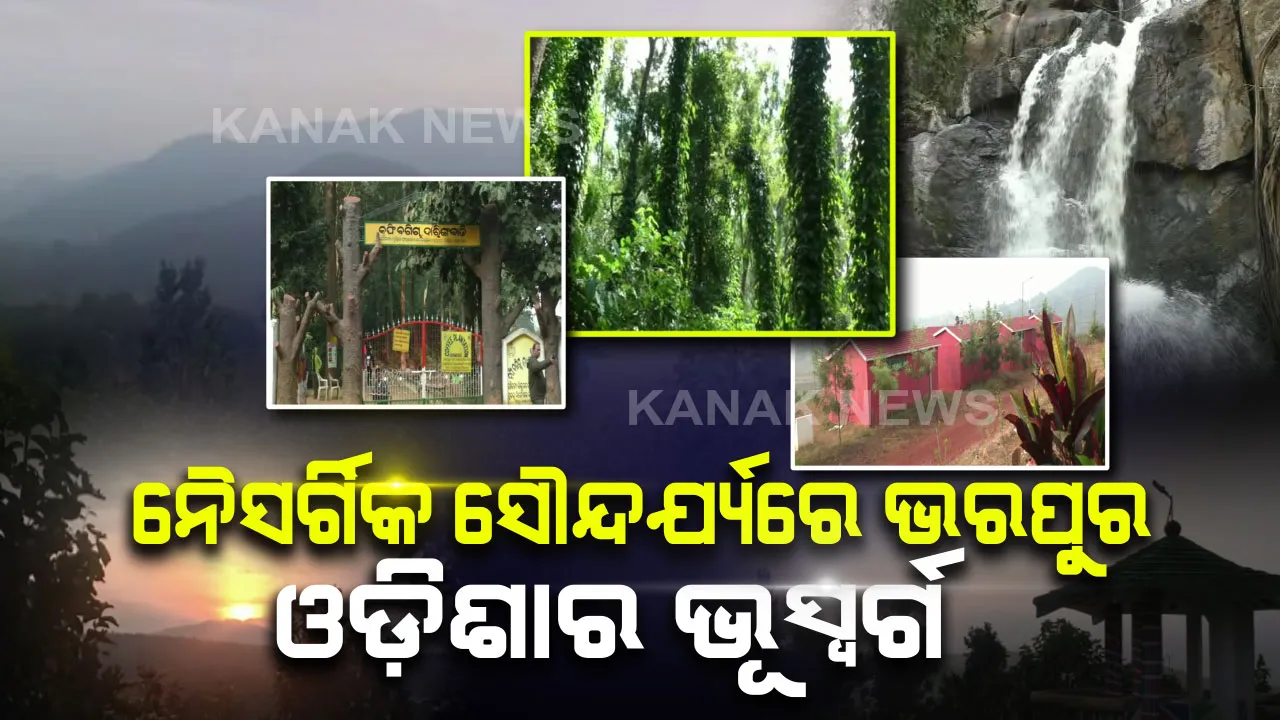  ପର୍ଯ୍ୟଟନ ଋତୁରେ ଓଡ଼ିଶାର କାଶ୍ମୀର ଦାରିଙ୍ଗବାଡ଼ିରେ ଜମୁଛି ଭିଡ଼ : ମନମୁଗ୍ଧ କଲା ଭଳି ପରିବେଶ, ନେଚରପାର୍କ, ହିଲଭିୟୁ ପାର୍କ, ସାଇଲେଣ୍ଟ ଭ୍ୟାଲିରେ ସେଲ୍ଫି ନେବା ସହ ବଣଭୋଜିର ମଜା ନେଉଛନ୍ତି ପର୍ଯ୍ୟଟକ