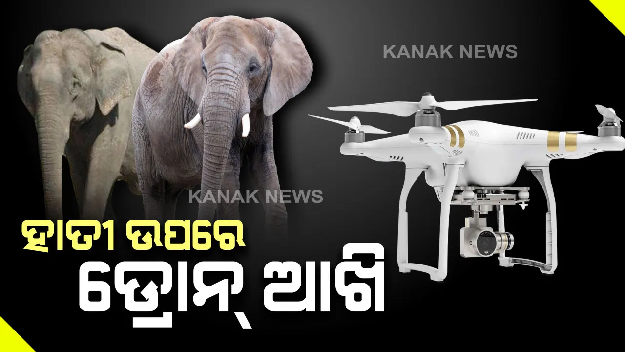  ଡ୍ରୋନ କ୍ୟାମେରା ସାହାଯ୍ୟରେ ଖୋଜାଯାଉଛି ହାତୀ : ଯାଜପୁରରେ ହାତୀ ଉପଦ୍ରବକୁ ନେଇ ତାତିଲେ ଲୋକେ,ଦାନଗଦି ମେଡିକାଲ ସମ୍ମୁଖରେ ରାସ୍ତାରୋକ