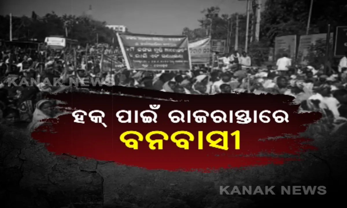  ପାରମ୍ପରିକ ଅସ୍ତ୍ରଶସ୍ତ୍ର ଧରି ବିରାଟ ରାଲି : ଜିଲ୍ଲାପାଳଙ୍କ ଅଫିସ ଆଗରେ ବନବାସୀ, ନୂଆପଡାରେ ଜଙ୍ଗଲ ଜମି ପଟ୍ଟା ଦାବିରେ ଧାରଣାରେ ଲୋକେ