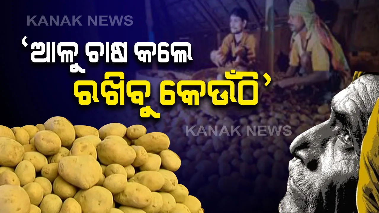  ବଜାରରେ ଆଳୁ-ପିଆଜ ଟକ୍କର । କିନ୍ତୁ ଚାଷ ପାଇଁ ମନବଳାଉ ନାହାନ୍ତି କୋରାପୁଟ ଚାଷୀ, ସାମ୍ନାକୁ ଆସିଲା ସାଙ୍ଘାତିକ ସତ !
