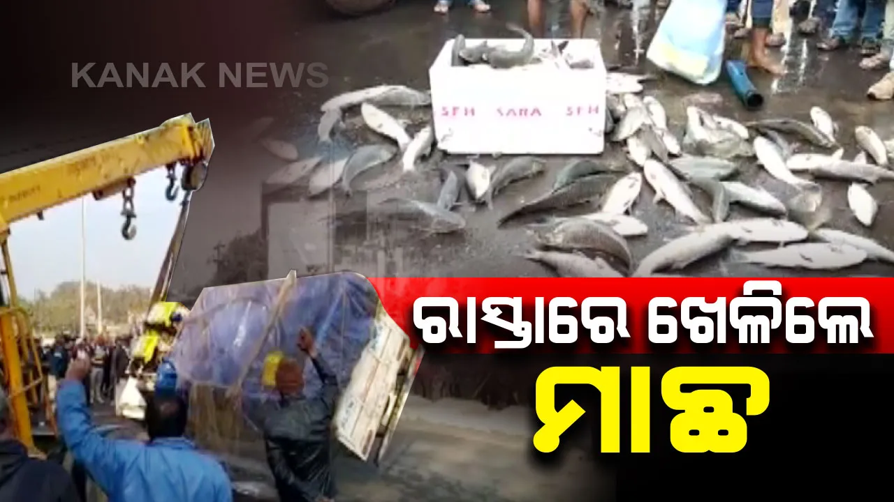  ବନ୍ଦ ପାଳନ ବେଳେ ରାଉରକେଲା ବିଶ୍ରା ଛକରେ ଓଲଟିଲା ମାଛ ବୋଝେଇ ପିକଅପ୍ ଭ୍ୟାନ । ରାସ୍ତା ଉପରେ ଖେଳିଲେ ଜିଅନ୍ତା ମାଛ । ଭାରସାମ୍ୟ ହରାଇ ଓଲଟି ପଡିଥିଲା ଗାଡି