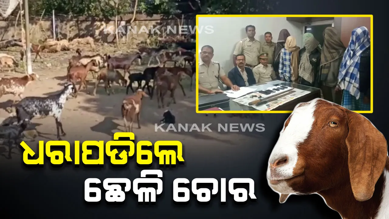  ଧରାପଡିଲେ ୬ ଛେଳି ଚୋର । ଜଟଣୀ ଅଂଚଳରୁ ୧୫୧ ଛେଳି ଉଦ୍ଧାର, ଅଭିଯୁକ୍ତଙ୍କ ନିକଟରୁ ୩ ବାଇକ, ୫ ମୋବାଇଲ ଓ ୨ଟି ଖଣ୍ଡା ଜବତ