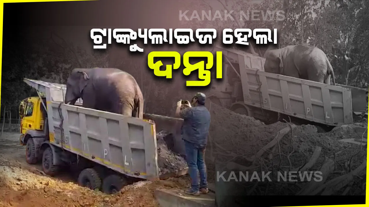  ଶେଷରେ ସଫଳ ହେଲା ଅପରେସନ ଗଜରାଜ । ବନ ବିଭାଗର କବଜାକୁ ଆସିଲା ନରହନ୍ତା ହାତୀ