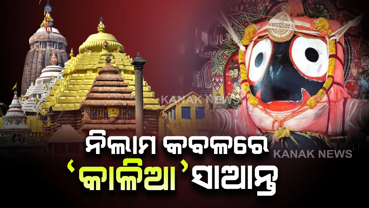  ନିଲାମ କବଳରୁ କେବେ ମୁକୁଳିବ ବଡଦେଉଳ । ବାହାର ଦୀପ ଭିତରେ ମନା ହେଲେ ଭିତରେ ଜାଳିବାକୁ ହେଲେ ଟଙ୍କାକର ଦୀପକୁ ୧୦ ଟଙ୍କା । ରୋହିଣୀ କୁଣ୍ଡର ପାଦୁକ ପାଇଁ ଦେବାକୁ ପଡୁଛି  ୧୦୦ ଟଙ୍କା