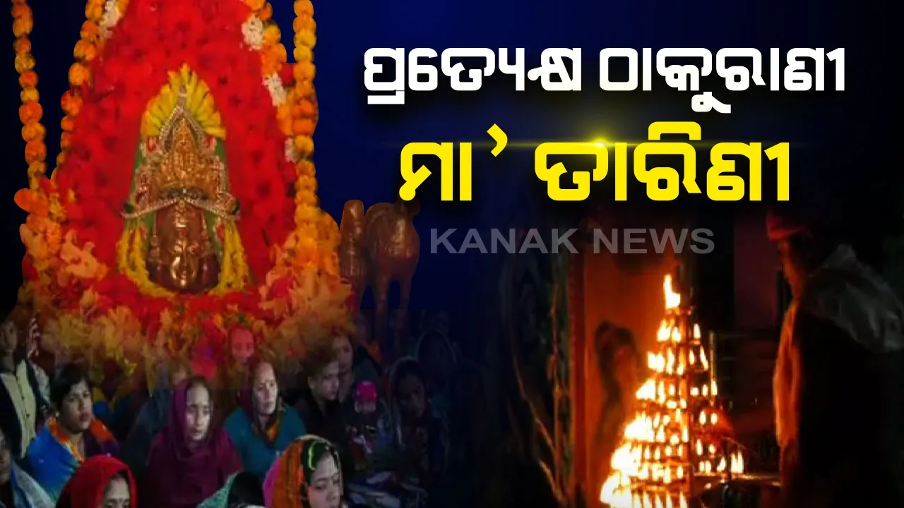  ପ୍ରତ୍ୟେକ୍ଷ ଠାକୁରାଣୀ ବାଲୁଗାଁର ମା’ ତାରିଣୀ...ଘଞ୍ଚଜଙ୍ଗଲ ଭିତରେ ରହିଛି ଏହି ଅଲୌକିକ ଶକ୍ତି ପୀଠ...ବିଶ୍ୱାସ ରହିଛି ମା’ଙ୍କ ମସ୍ତକରୁ ଆଜ୍ଞାମାଳ ଖସିଲେ ନିମିଷକ ମଧ୍ୟରେ ଦୂର ହୋଇଯାଏ ଭକ୍ତର ସବୁ ଦୁଃଖ