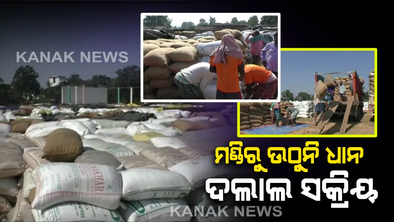  ବିନା କଟନି ଛଟନିରେ ମଣ୍ଡିରେ ବିକ୍ରି ହେଉନି ଧାନ । ବରଗଡ ପଦ୍ମପୁରରେ ଦଲାଲ ସକ୍ରିୟ । ମିଲର ଏଜେଣ୍ଟଙ୍କୁ ବିକିଲେ କଟନିଛଟନି ହେବନି ବୋଲି କରାଯାଉଛି ଅପପ୍ରଚାର