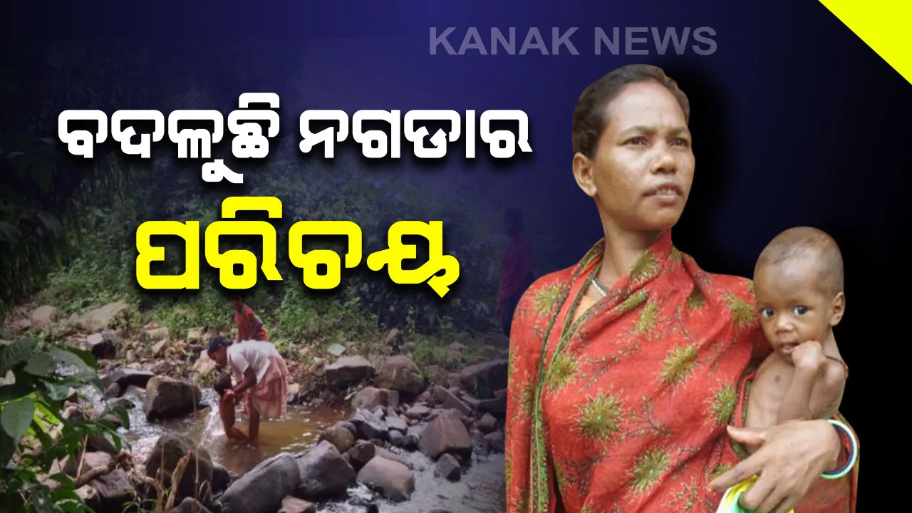  ବଦଳୁଛି ନଗଡାର ପରିଚୟ: ଦିନେ ଜଙ୍ଗଲରୁ କାଠ ସଂଗ୍ରହ କରି ବଂଚୁଥିଲେ ଆଜି କିନ୍ତୁ ଗଛ ଲଗାଇ ପୋଷୁଛନ୍ତି ପେଟ; ବିଭିନ୍ନ କ୍ଷେତ୍ରରେ କାମ କରି ପାରଦର୍ଶିତା ଦେଖାଉଛନ୍ତି ନଗଡାବାସୀ
