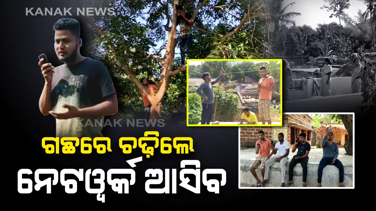  ଡିଜିଟାଲ୍ ଇଣ୍ଡିଆର ବାସ୍ତବ ଚିତ୍ର! ମୋବାଇଲ ଅଛି, ହେଲେ ଟାୱାର ନାହିଁ , କଥା ହେବାକୁ ଗଛ ଭରସା ।