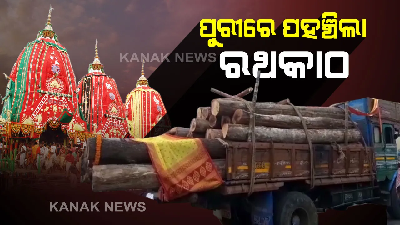  ରଥଯାତ୍ରା ପାଇଁ ପୁରୀରେ ପହଁଞ୍ଚିଲା ରଥକାଠ । ନୟାଗଡ ବନଖଣ୍ଡରୁ ଦୁଇଟି ଟ୍ରକରେ ଆସିଛି ୫୩ ଖଣ୍ଡ ଧଉରା ଓ ଅସନ କାଠ