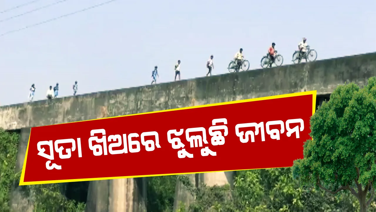  ସୂତା ଖିଅରେ ଝୁଲୁଛି ଜୀବନ ! ନଦୀ ପାର ହେବାକୁ ୧୦୦ଫୁଟ ଉଚ୍ଚର ଗାର୍ଡୱାଲ ଦେଇ ଯାତାୟତ କରୁଛନ୍ତି ଛାତ୍ରଛାତ୍ରୀ ଓ ଗାଁ ଲୋକେ