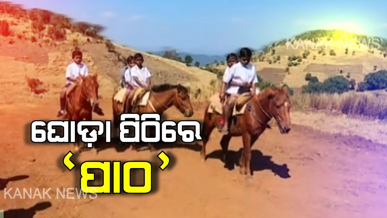  ପଦାରେ ପଡିଲା ଶିକ୍ଷା ବ୍ୟବସ୍ଥାର ବାସ୍ତବ ଚିତ୍ର : ସ୍ୱାଭିମାନ ଅଞ୍ଚଳରେ ଘୋଡା ପିଠିରେ ବସି ସ୍କୁଲ ଯାଉଛନ୍ତି ପିଲା