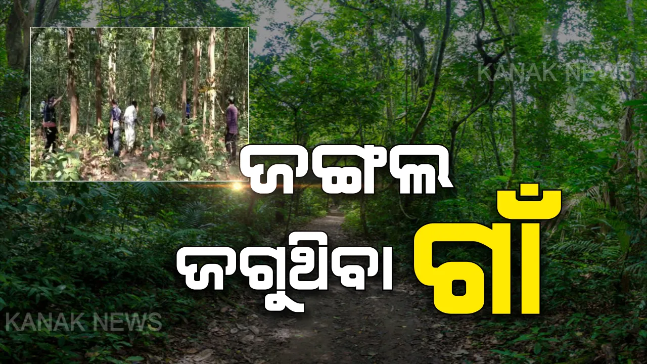  ଜଙ୍ଗଲ ପ୍ରେମରେ ପୂରା ଗାଁ: ପିଲା ଭଳି ପାଳୁଛନ୍ତି, ପାଳି କରି ଜଗୁଛନ୍ତି । ୧୯୯୨ରୁ ଦିନରାତି ଜଙ୍ଗଲକୁ ସୁରକ୍ଷା ଦେଇ ଆସୁଛନ୍ତି ଗାଁ ସାରା ଲୋକେ