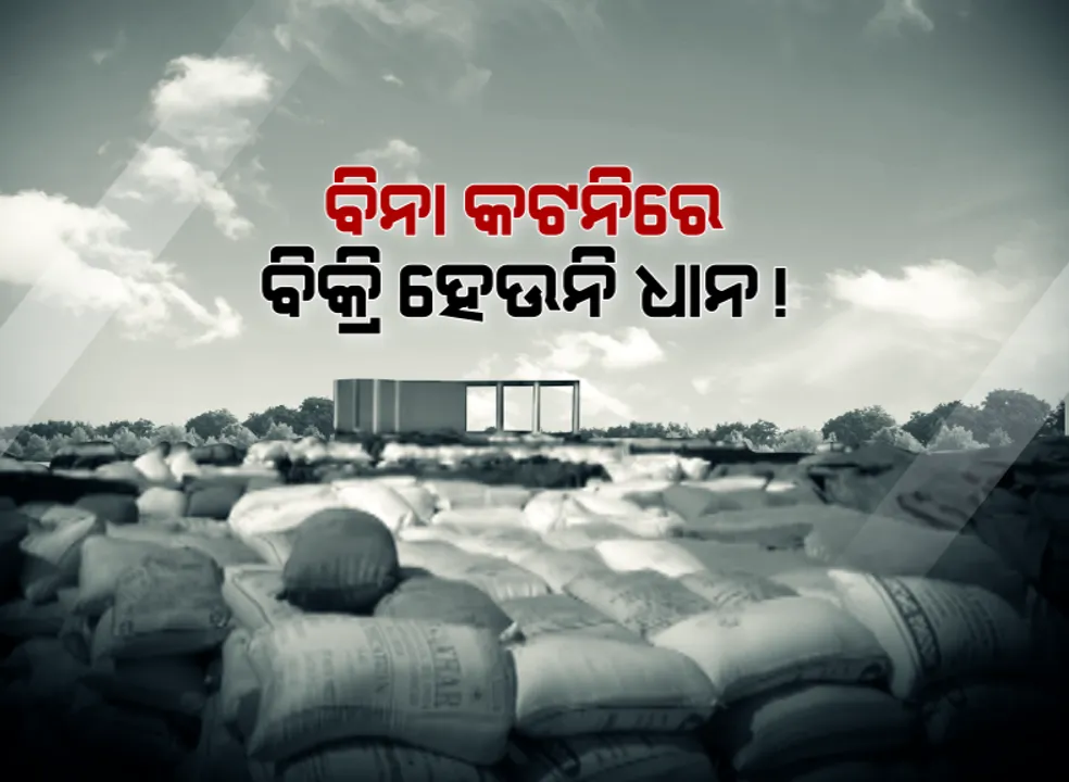  ମଣ୍ଡିରେ ପଡିରହିଛି ଧାନ, ଶୀତ କାକରରେ ଜଗିଛି ଚାଷୀ : କଟନି ଛଟନିରେ ରାଜି ନହେବାରୁ ଧାନ ଉଠାଉ ନାହାନ୍ତି ମିଲର୍ସ; ପଦ୍ମପୁର ଧାନମଣ୍ଡିରେ ତାଲା ପକାଇଲେ ଉତ୍ୟେକ୍ତ ଚାଷୀ