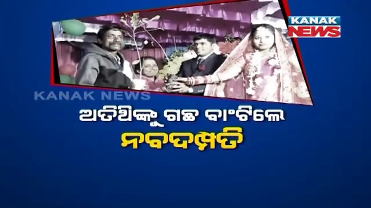  ଦମ୍ପତି ବାଂଟିଲେ ଗଛ ଚାରା । ବିବାହ ରିସେପସନ୍ ପାର୍ଟିରେ ଅତିଥିଙ୍କୁ ରିଟର୍ଣ୍ଣ ଗିଫ୍ଟରେ ଗଛ ବାଂଟିଲେ ନବଦମ୍ପତି, ବୃକ୍ଷରୋପଣର ଦେଲେ ବଡ ବାର୍ତ୍ତା ।