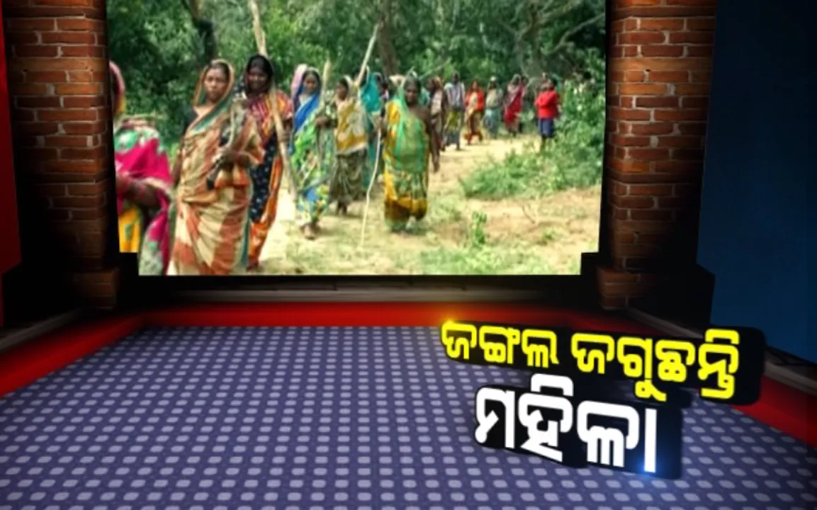  ଜଙ୍ଗଲ ଜଗୁଛନ୍ତି ମହିଳା: କାଠ ଓ ବାଲି ମାଫିଆଙ୍କୁ ସାବାଡ କରିବା ପାଇଁ ହାତରେ ଠେଙ୍ଗା ଧରି ଜଙ୍ଗଲରେ ପଇଁତରା ମାରୁଛନ୍ତି କାକଟପୁର ବାଙ୍ଗୁରିଗାଁ ପଂଚାୟତ ମହିଳା
