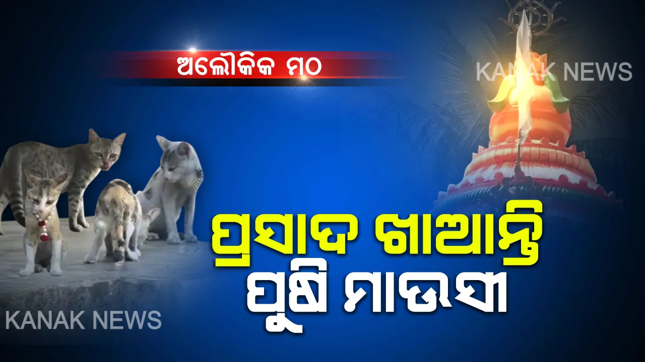  ରହସ୍ୟମୟ ମଠ ! ଯେଉଁଠି ଘଣ୍ଟି ବାଜିଲେ ବିଲେଇ ଆସନ୍ତି, ପ୍ରସାଦ ଖାଆନ୍ତି । ବିଲେଇ ପରେ ଭକ୍ତଙ୍କୁ ମିଳେ ପ୍ରଭୁଙ୍କ ପ୍ରସାଦ । ବିଶ୍ୱାସ ନହେଲେ ବି ସତ...