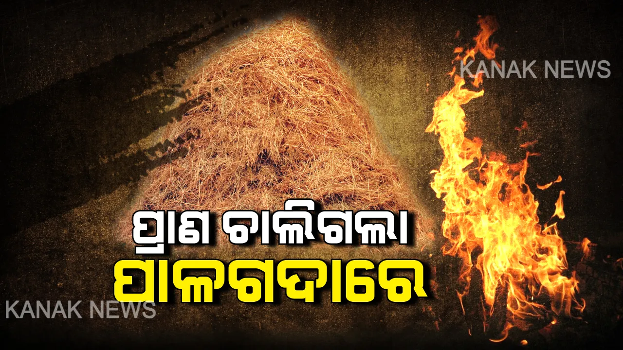  ଖେଳ ପାଲଟିଲା କାଳ । ନିଆଁର ଆଁରେ ଜୀବନ୍ତ ଦଗ୍ଧ ହୋଇଗଲେ ୩ ଶିଶୁ, ଜୀବନ ସହ ସଂଘର୍ଷ କରୁଛି ଆହତ ଶିଶୁ । ଶୋକରେ ବୁଡିଲା ପୂରା ପୋଲସରା ଅଞ୍ଚଳ ।