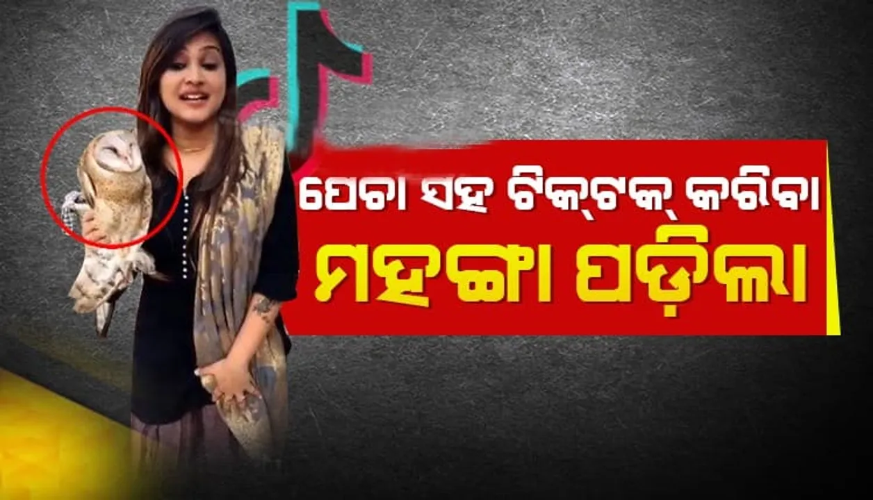  ବାଇଆ କରିଛି ଟିକଟକ ? ପେଚା ସହ ଟିକଟକ କରି ଟଙ୍କା ଗଣିଲେ ଯୁବତୀ । ଏମିତି ନିଶା ଘାରିଛି ଯେ ଫାଇନର ରସିଦ ସହ ବି କଲେ ଟିକଟକ । ଚର୍ଚ୍ଚାରେ ଏହି ଯୁବତୀ