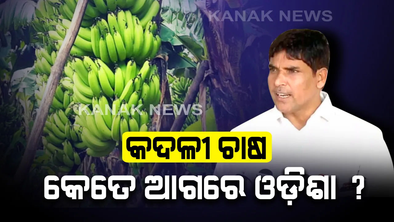  କଦଳୀ ଚାଷରେ କେତେ ଆଗରେ ଓଡ଼ିଶା ? ଗୃହରେ ବିଧାୟକ ସୌଭିକ ବିଶ୍ୱାଳଙ୍କ ପ୍ରଶ୍ନର ଉତ୍ତର ରଖିଲେ କୃଷିମନ୍ତ୍ରୀ ଅରୁଣ ସାହୁ ।