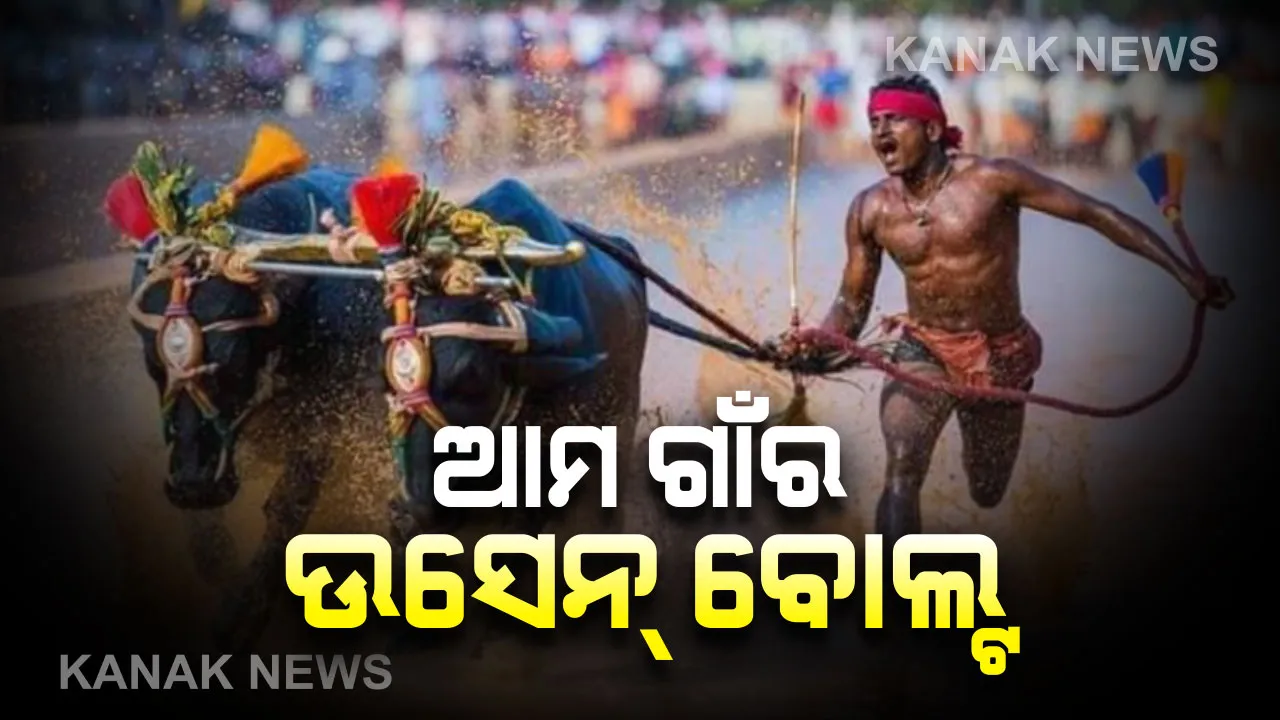  ସାରା ଦୁନିଆକୁ ଚମକାଇ ଦେଲେ କର୍ଣ୍ଣାଟକର ଦେଶୀ ଉସେନ୍ ବୋଲ୍ଟ : ମଇଁଷି ଦୌଡ଼ ପ୍ରତିଯୋଗିତାରେ ବୋଲ୍ଡଙ୍କ ବେଗକୁ କଲେ ଅତିକ୍ରମ,୯ ଦଶମିକ୍ ୫୫ ସେକେଣ୍ଡରେ ପାର୍ ହେଲେ ଶହେ ମିଟର
