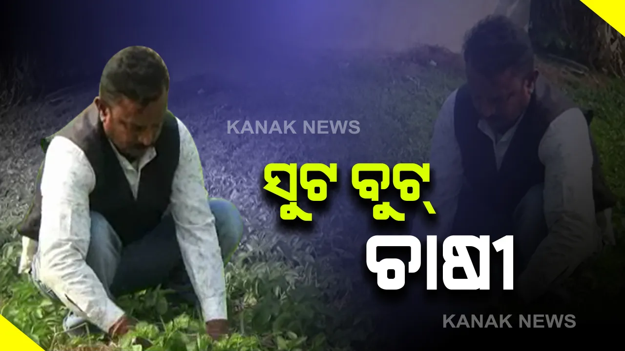  ‘ଜିରୋ ଟିଲ୍'ପଦ୍ଧତିରେ ଆଳୁ ଚାଷ...ଅସମ୍ଭକୁ ସମ୍ଭବ କଲେ ଯୁବଚାଷୀ । ସୁଟବୁଟରେ ଚାଷକରି ଉଦାହରଣ ସୃଷ୍ଟି କଲେ ନିମାପଡ଼ାର ସଂଗ୍ରାମ କେଶରୀ