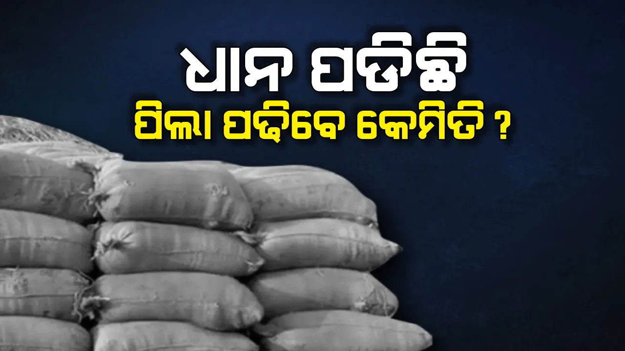  ନୂଆପଡ଼ା ମଣ୍ଡିରେ ଉଠୁନି ଧାନ । ୪୦ ଦିନ ହେଲା ୬ ହଜାର କ୍ୱିଂଟାଲ ଧାନକୁ ଜଗି ରହିଛନ୍ତି ଚାଷୀ । ବିକ୍ରି ହେଉନି ଧାନ, ଅଟକି ଗଲାଣି ପିଲାଙ୍କ ପାଠପଢ଼ା