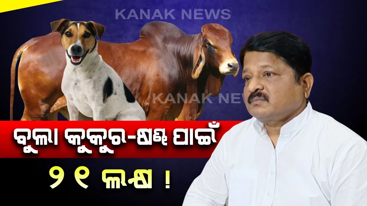 ଗୃହରେ ଉଠିଲା ବୁଲା କୁକୁର-ଷଣ୍ଢ ପ୍ରସଙ୍ଗ: ସହରାଞ୍ଚଳ ରାସ୍ତାରୁ ବୁଲା କୁକୁର ଓ ଷଣ୍ଢକୁ ହଟାଇବା ପାଇଁ ଖର୍ଚ୍ଚ ହୋଇଛି କେତେ? ହିସାବ ଦେଲେ ବିଭାଗୀୟ ମନ୍ତ୍ରୀ ।